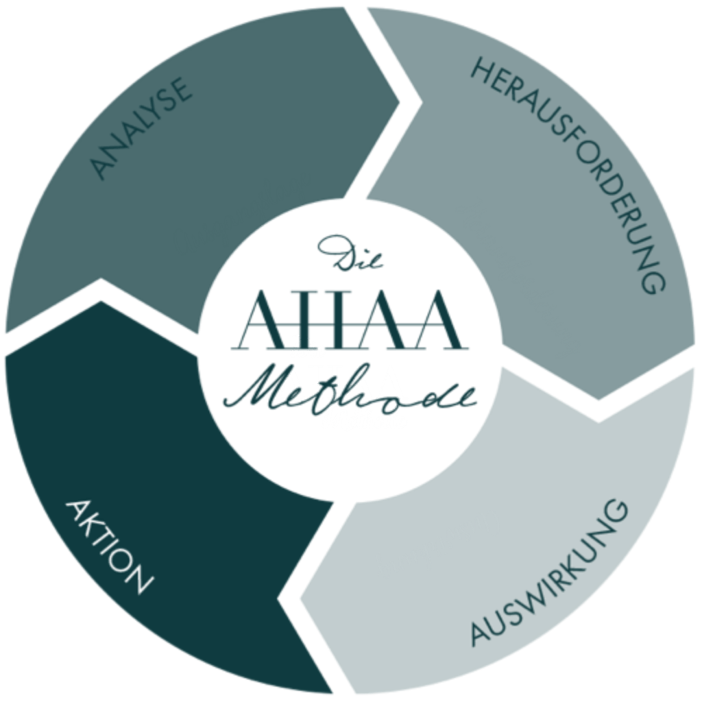 AHAA-Methode 4 Schritte im Pferdeunterstützten Coachingprozess